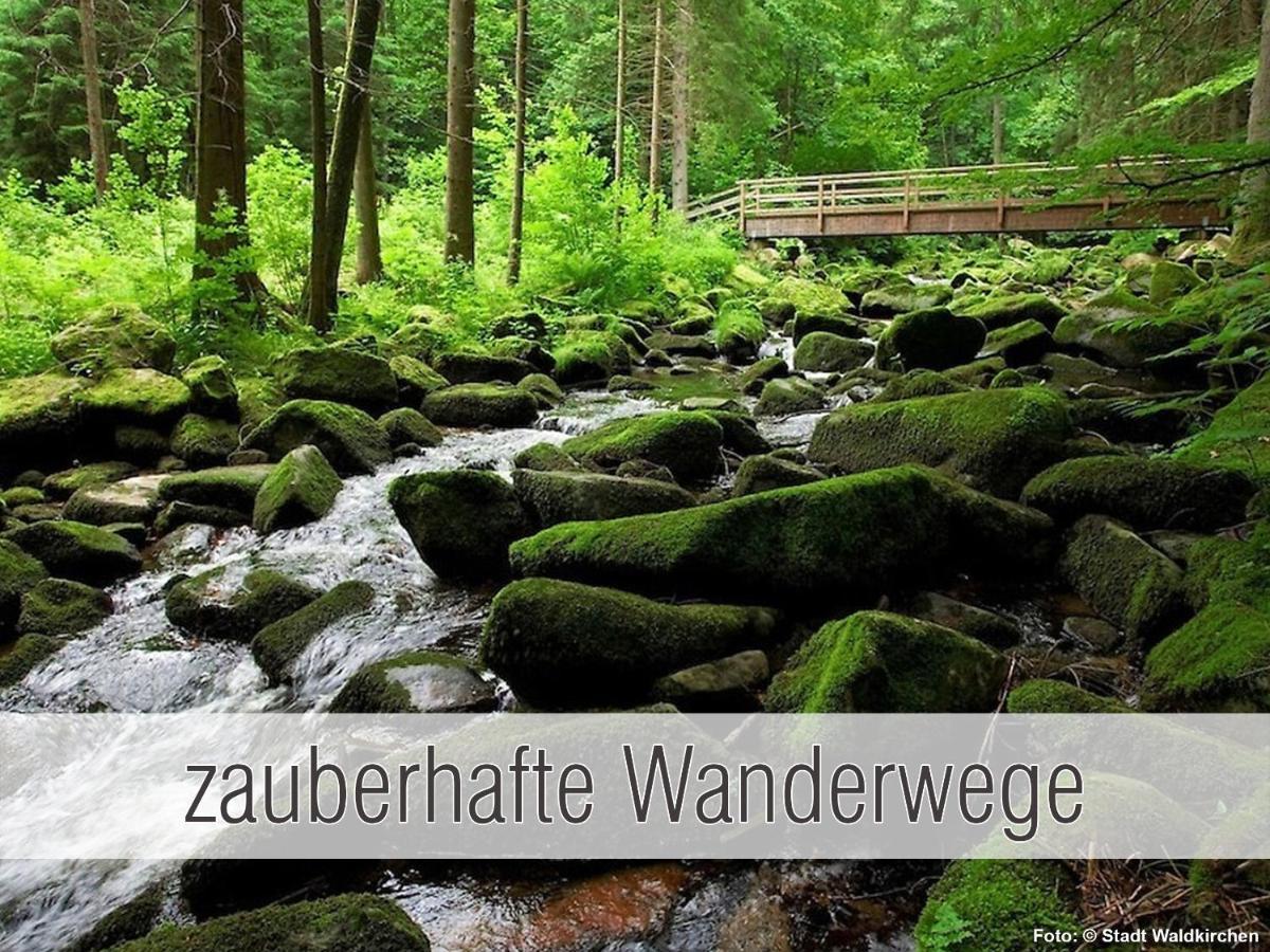 Huette41: Ganze Huette Nah Am See Mit Privatem Whirlpool, Sauna. Umzaeunt. Waldkirchen Luaran gambar
