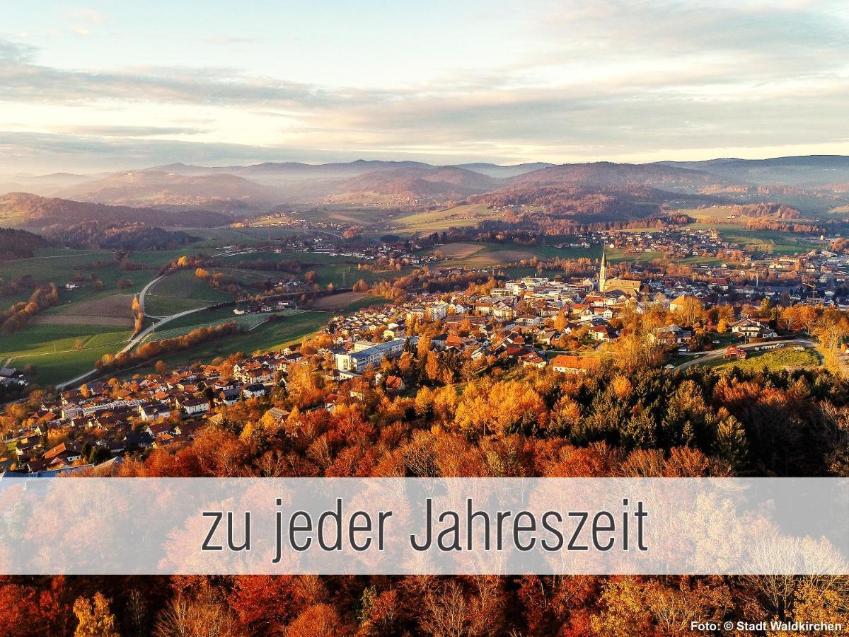 Huette41: Ganze Huette Nah Am See Mit Privatem Whirlpool, Sauna. Umzaeunt. Waldkirchen Luaran gambar