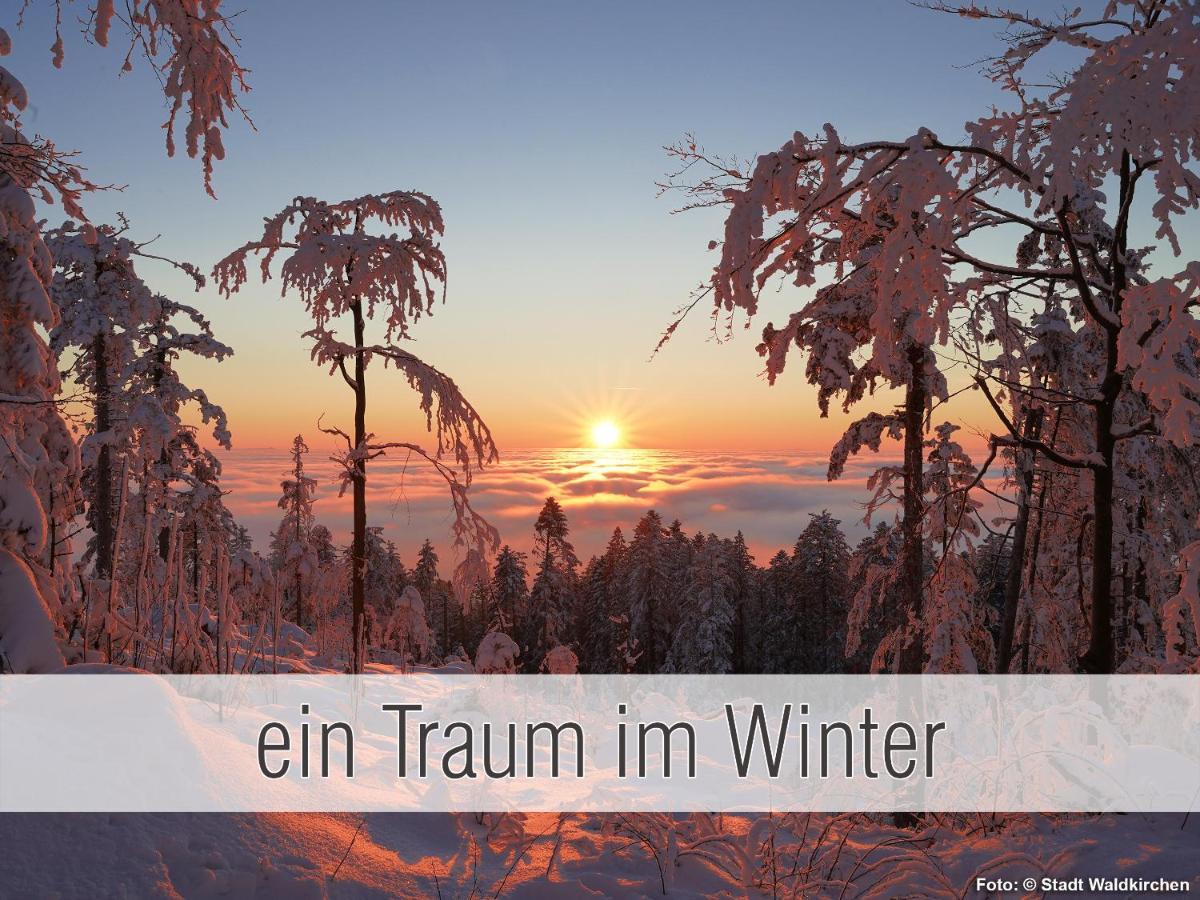 Huette41: Ganze Huette Nah Am See Mit Privatem Whirlpool, Sauna. Umzaeunt. Waldkirchen Luaran gambar