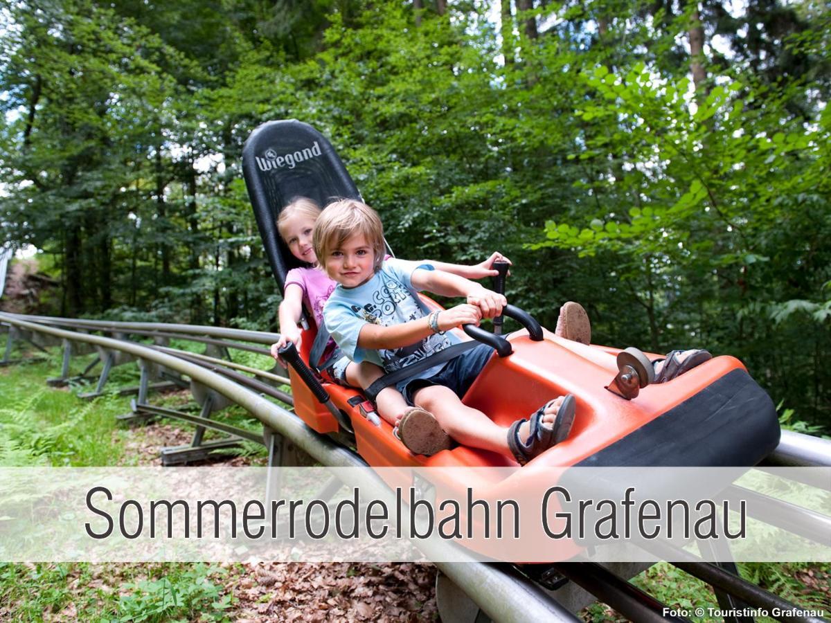 Huette41: Ganze Huette Nah Am See Mit Privatem Whirlpool, Sauna. Umzaeunt. Waldkirchen Luaran gambar