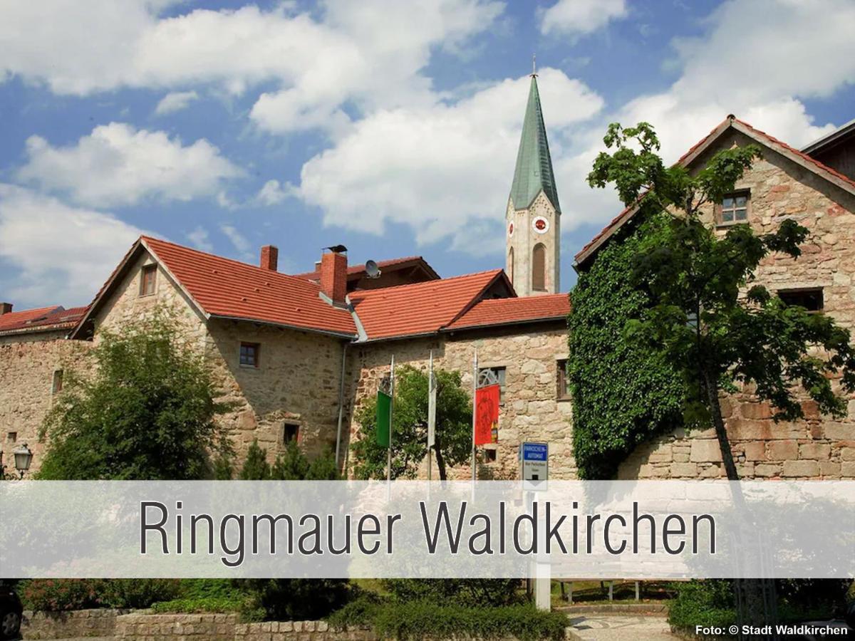 Huette41: Ganze Huette Nah Am See Mit Privatem Whirlpool, Sauna. Umzaeunt. Waldkirchen Luaran gambar